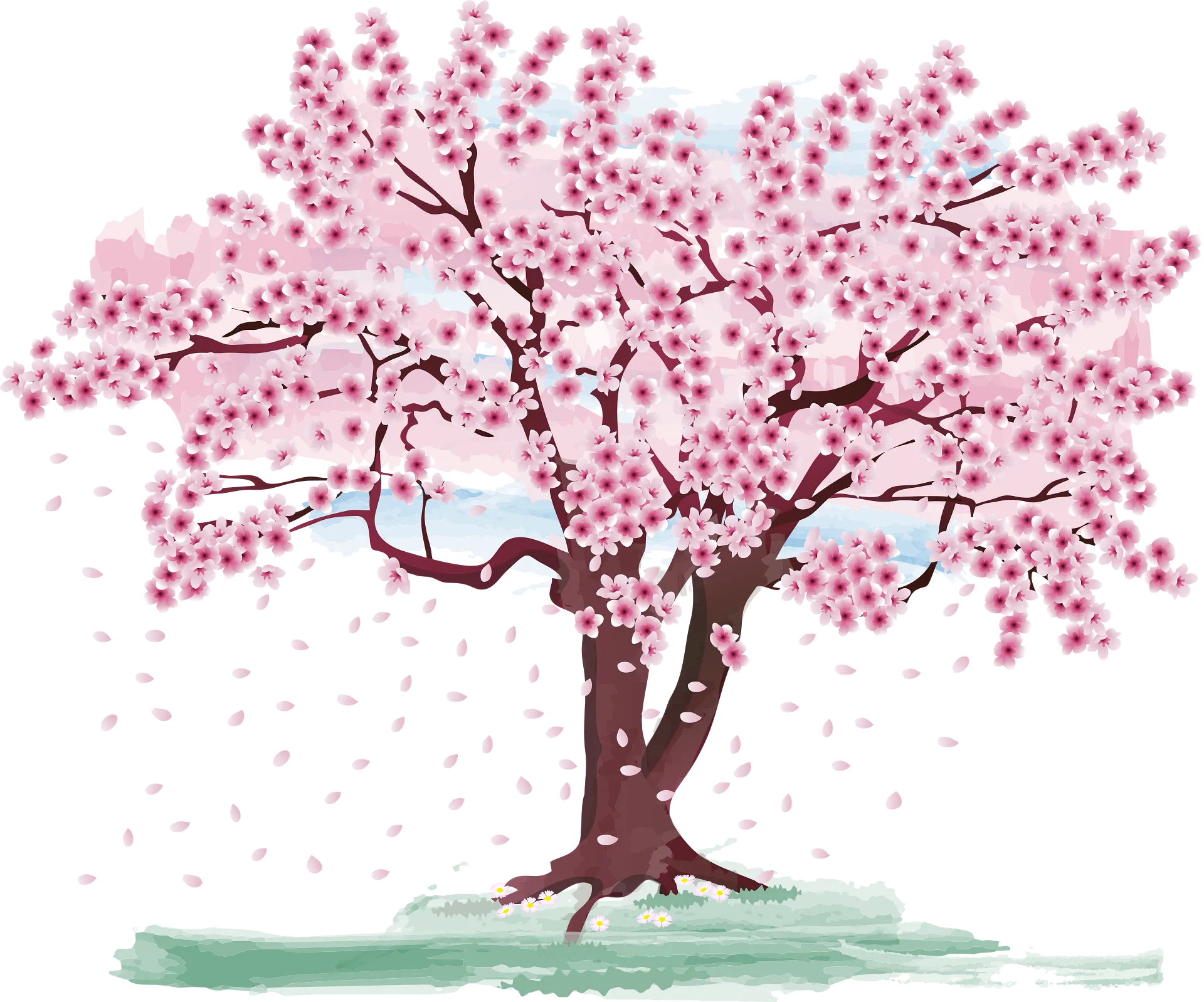 満開の桜の木のイラスト