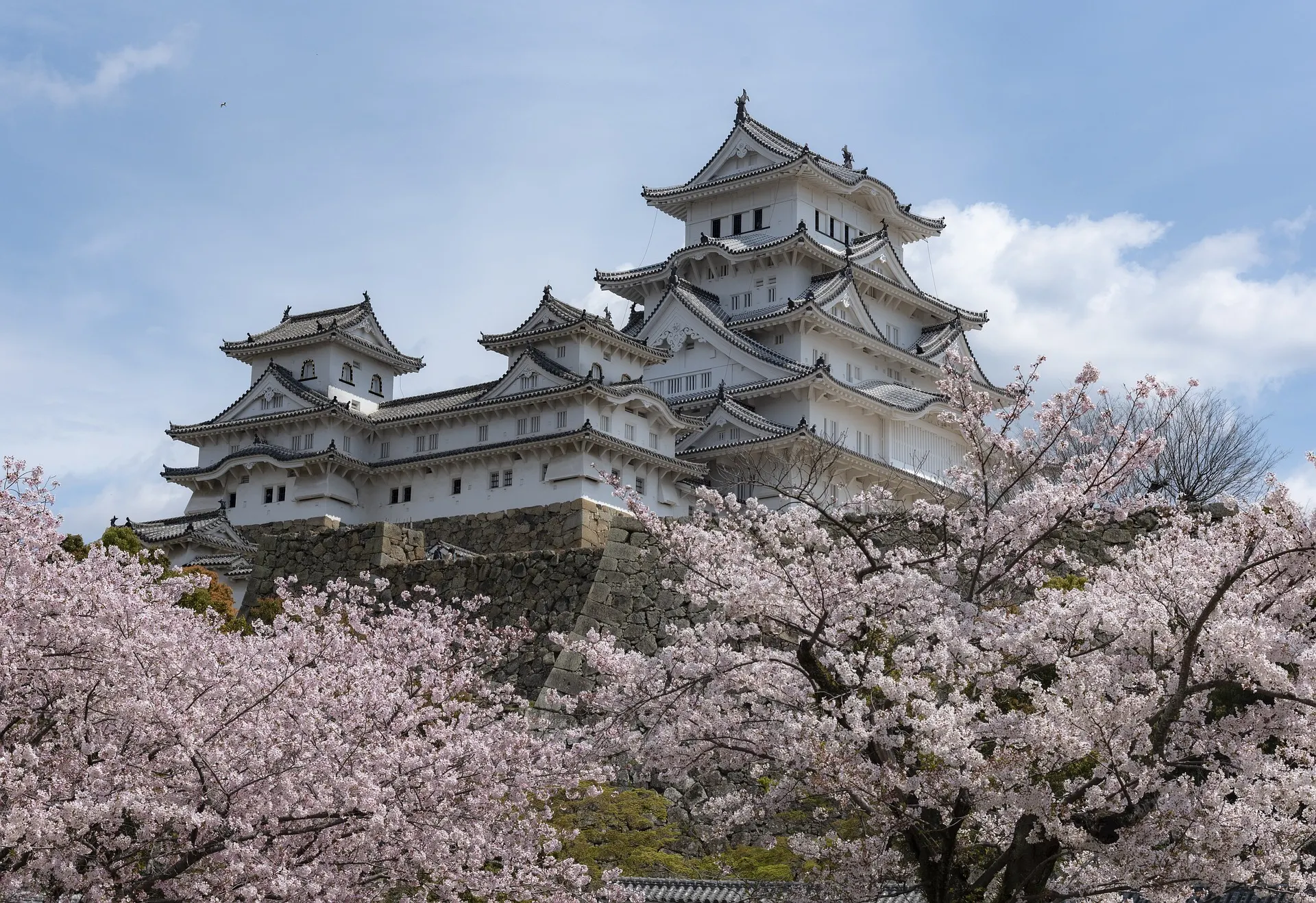 桜の向こうにそびえる兵庫県の姫路城。兵庫県内に交換業者の本社やATMはない